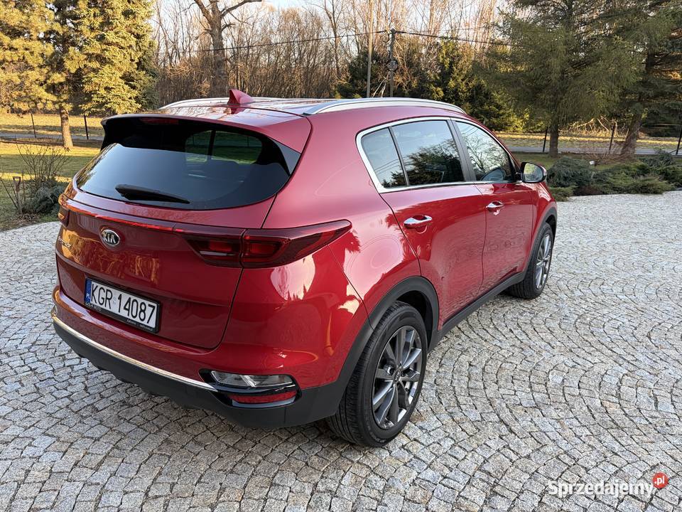 Kia Sportage IV 16 177 53 przebiegu Business światła przeciwmgielne Sportage Gorlice