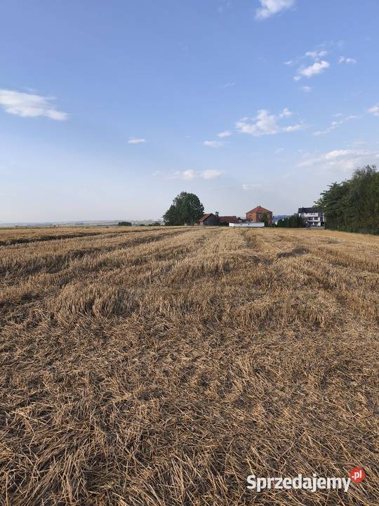 NA Sprzedaż DZIAŁKA ROLNA W ŁYCZAKOWIE