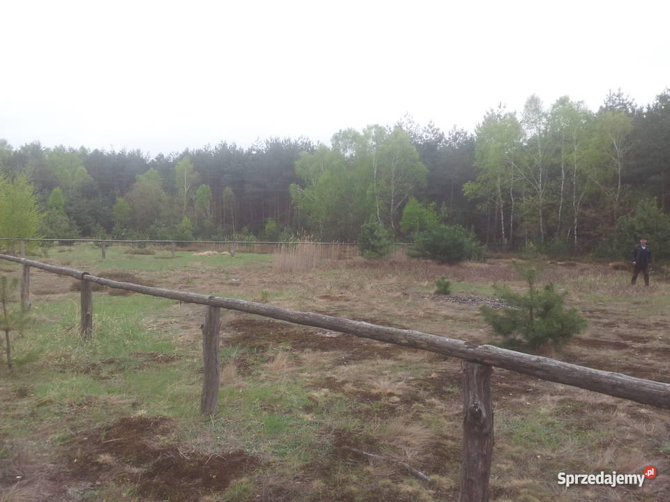Działka Borowiec Tanwią malownicza okolica Grunty i działki lubelskie Borowiec sprzedam