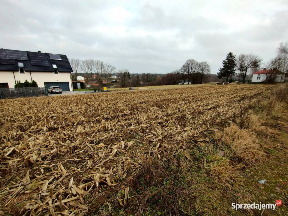 Sprzedam grunt 1700m2 PłouszowiceKolonia