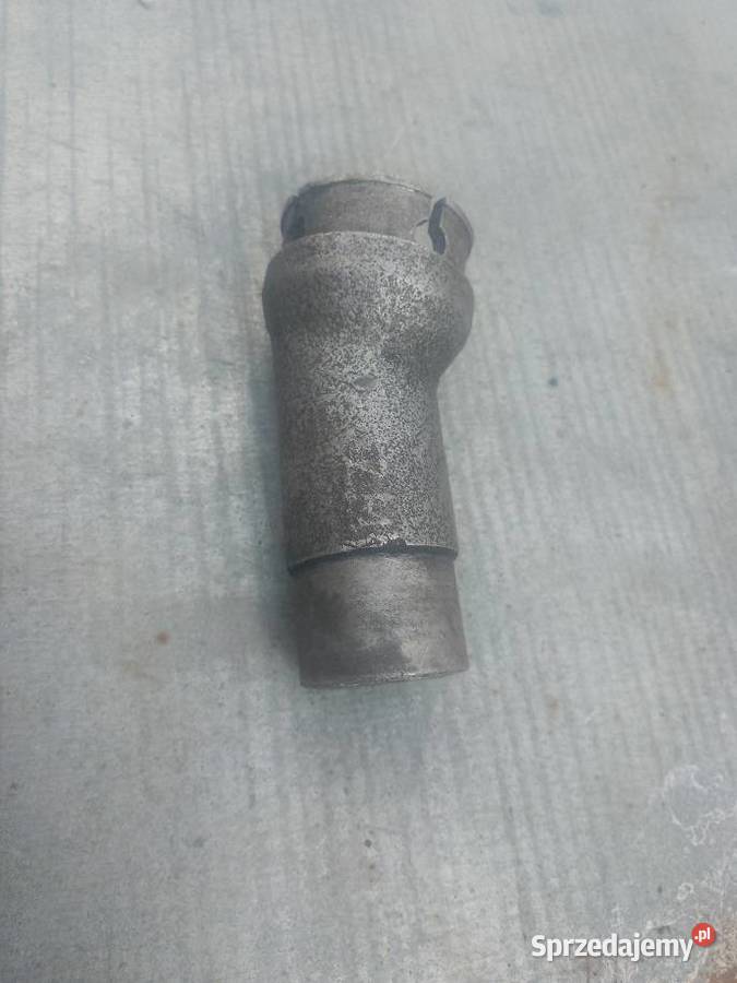 KRÓCIEC GAŻNIKA WSK warmińsko-mazurskie Milejewo