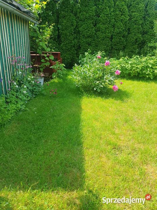 Działka ROD Oleśnica