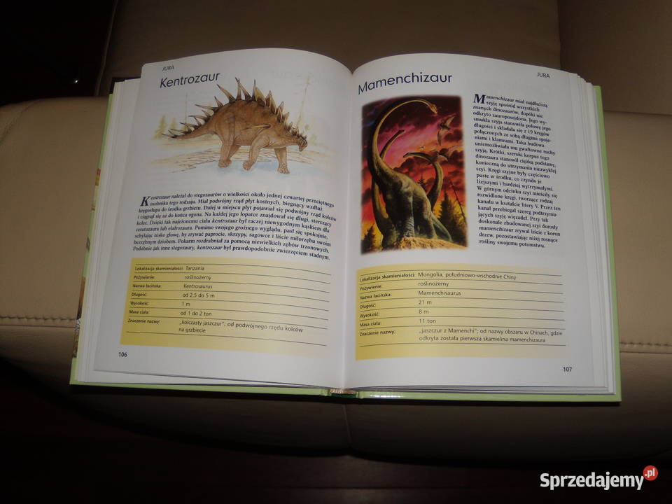 Dinozaury allozaura do tyranozaura Warszawa