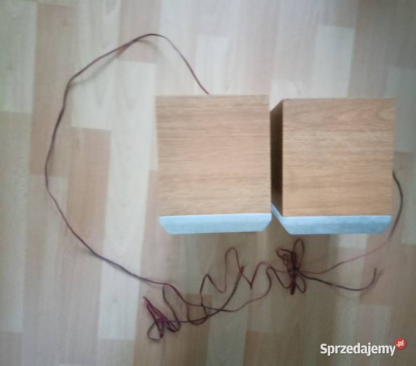 Głośniki Kenwood LSM37 2x 10w Tarnobrzeg