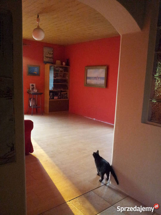 dom z działką 40 Warszawy Drwalewice Drwalewice