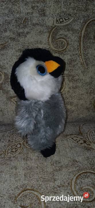 Pingwin pluszowa zabawka łódzkie