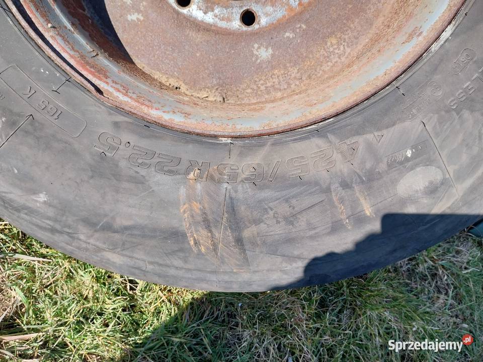 Koło przyczepy HL Brandys Autosan itp 42565R225 Opony Borek