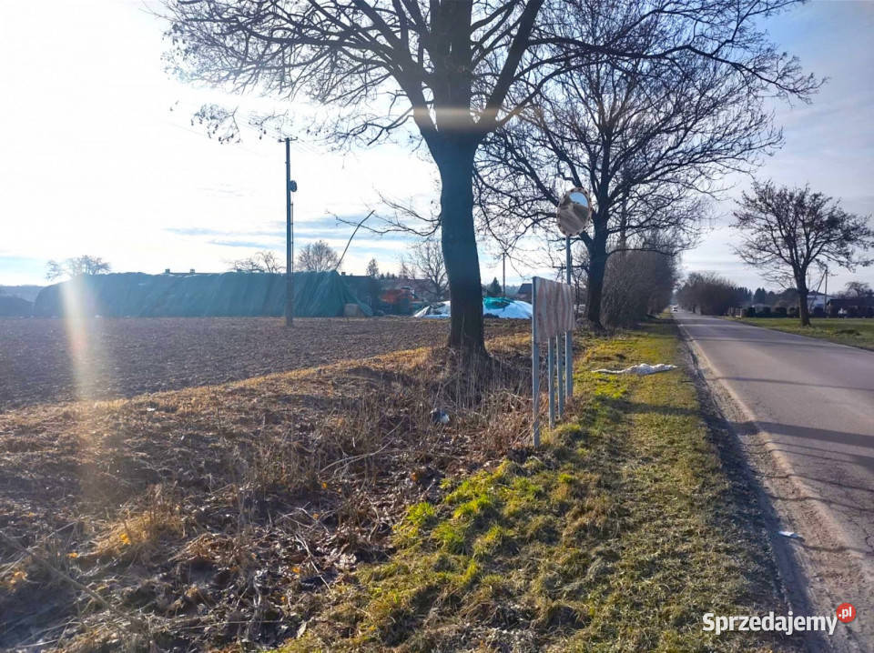 sprzedaży działki Palikije Drugie 4500m2