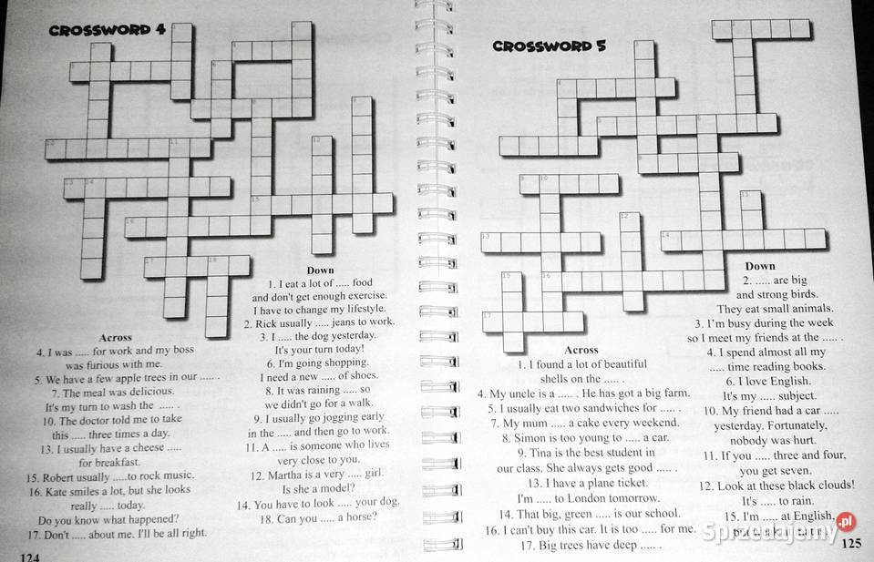 Mistrz angielskiego kurs kl 46 Piotr Dwornik Chełm