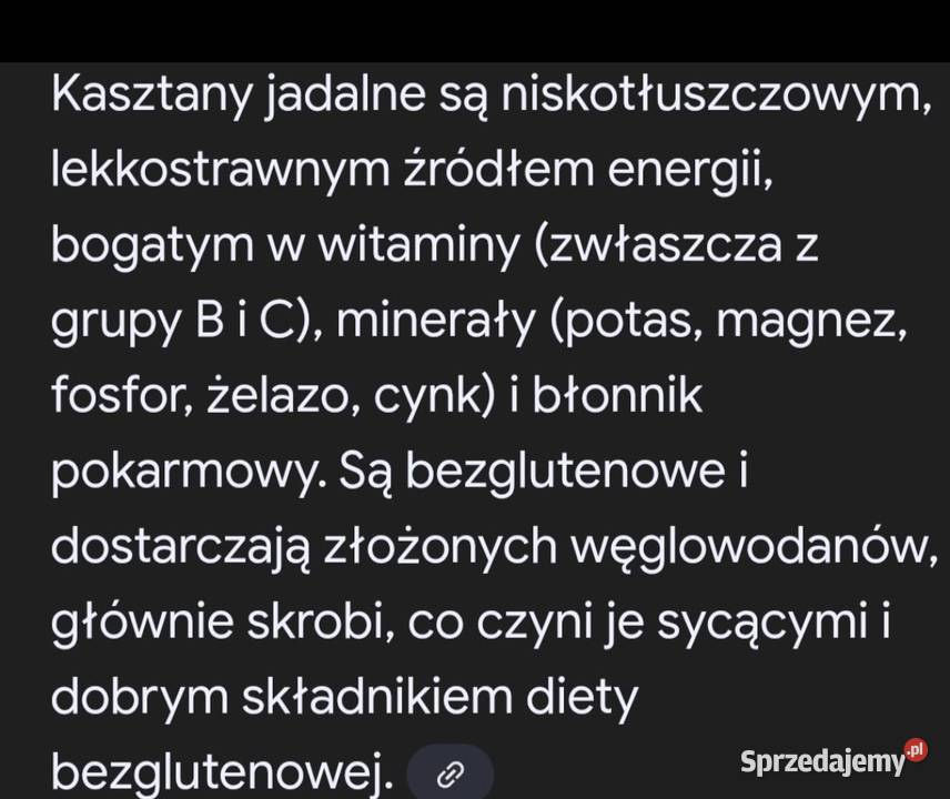 Kasztany jadalne lubuskie Świebodzin