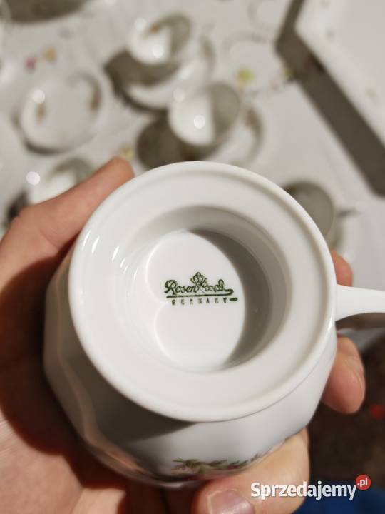 Rosenthal Maria Moosrose duży zestaw porcelany Porcelana i szkło Sandomierz