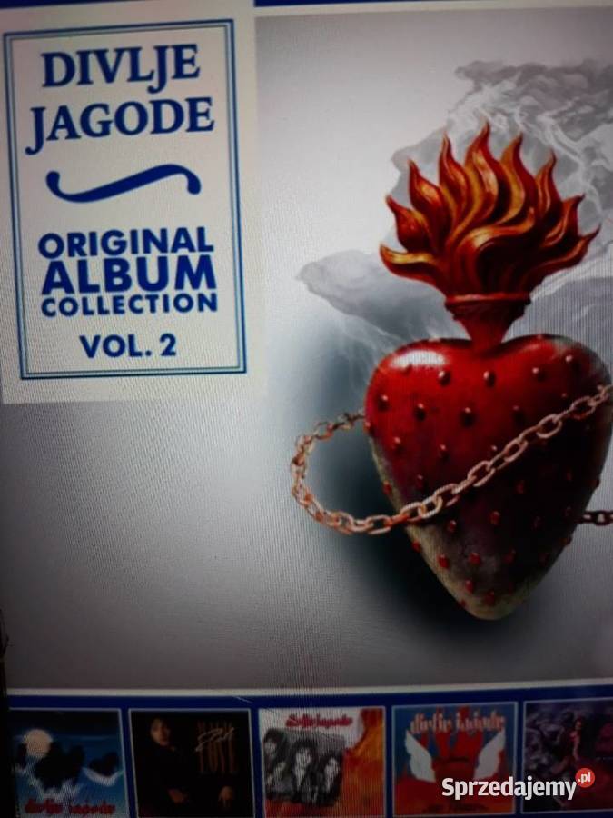 Archiwum hard prog rocka DIVLJE JAGODE Orginal rock Rzeszów