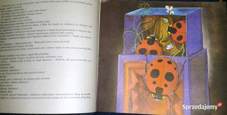 Przygody Sałamury Arczył Sułakauri miękka Chełm