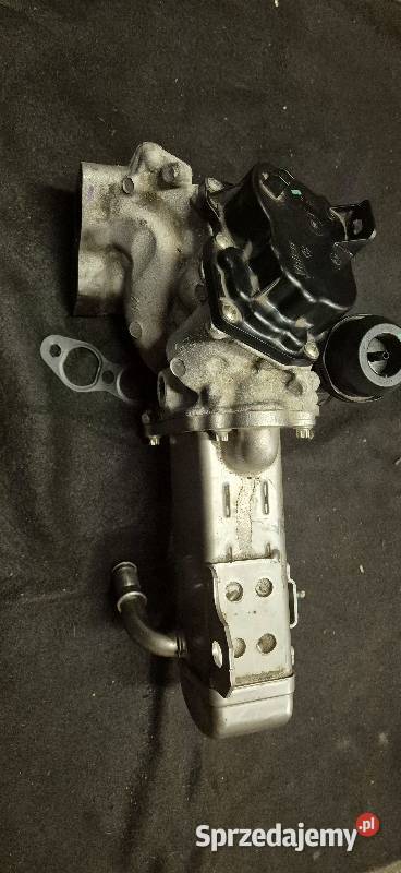 Zawór Egr do Citroen DS Peugeot Recyrkulacja spalin EGR Chorzów