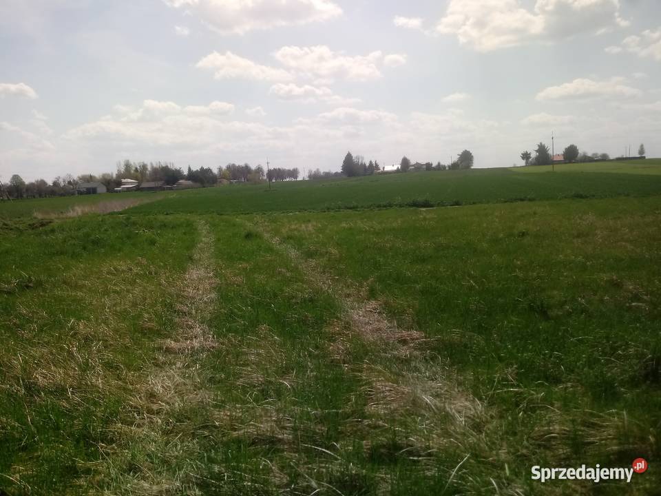 Sprzedam dzialke rolna w Horodle