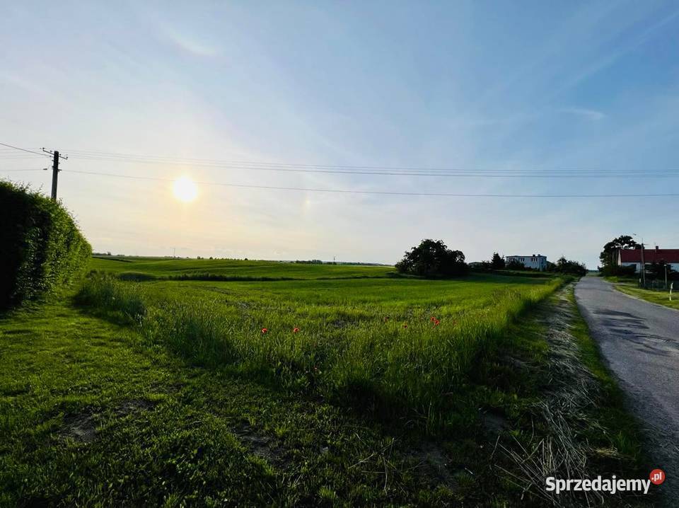 Sprzedam działkę rolnobudowlaną Sprzedaż Susz sprzedam