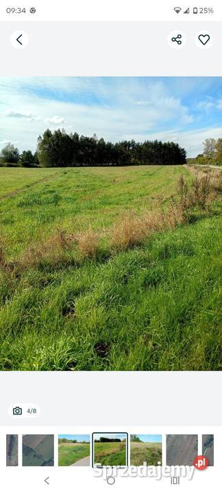 Grunty rolne 65 ha Nieruchomości Bezek