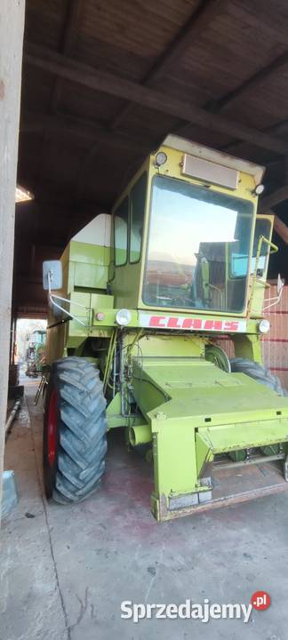 Claas dominator 68 sieczkarnia stół do rzepaku