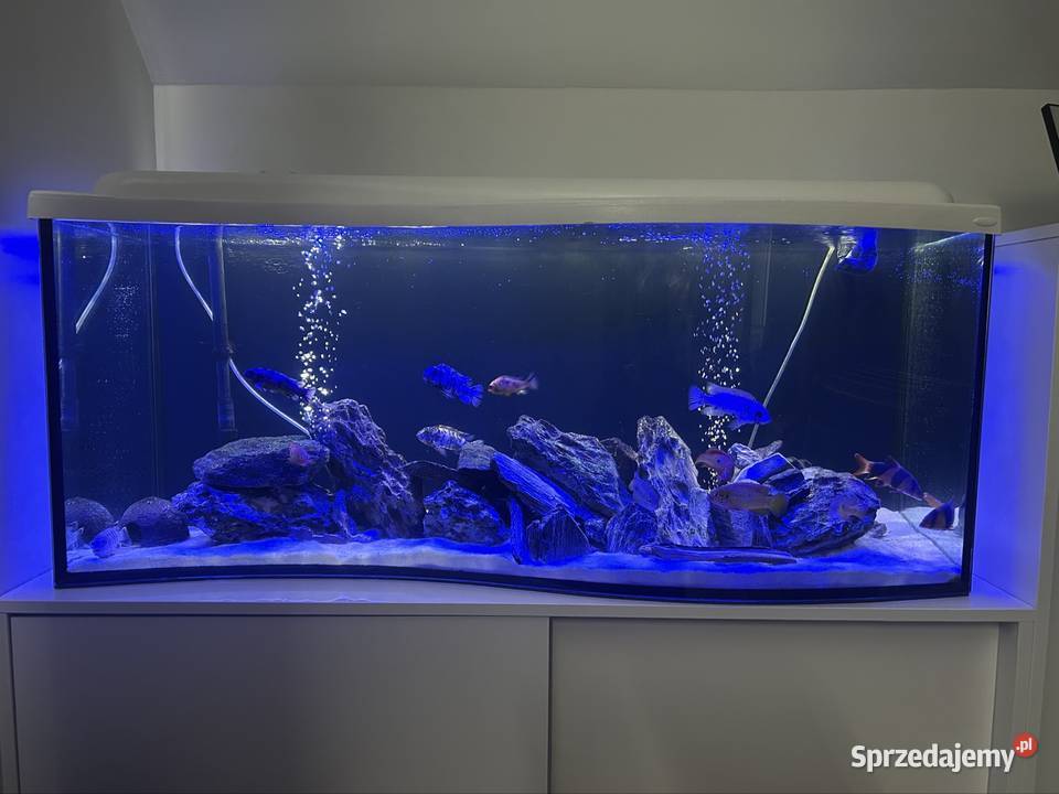 Akwarium fala 240 litrów z pełnym wyposarzeniem Ostrołęka