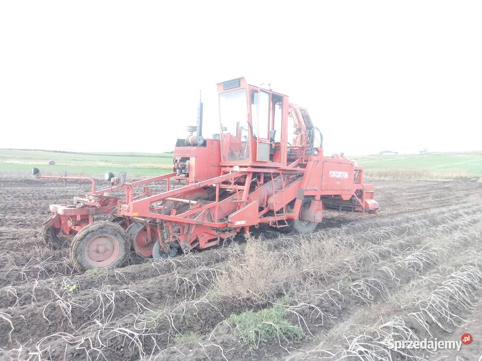 Amac Zm 2 kombajn do ziemniaków samojezdny Bytom Odrzański