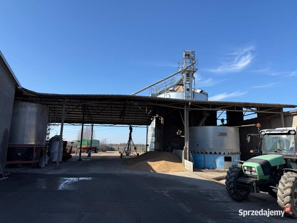 Silosy zbożowe i suszarnie zbożowe łódzkie Łódź