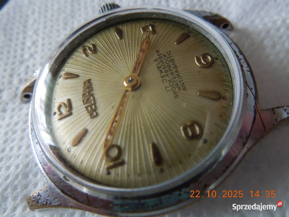 zegarek meski delbana Męskie Częstochowa