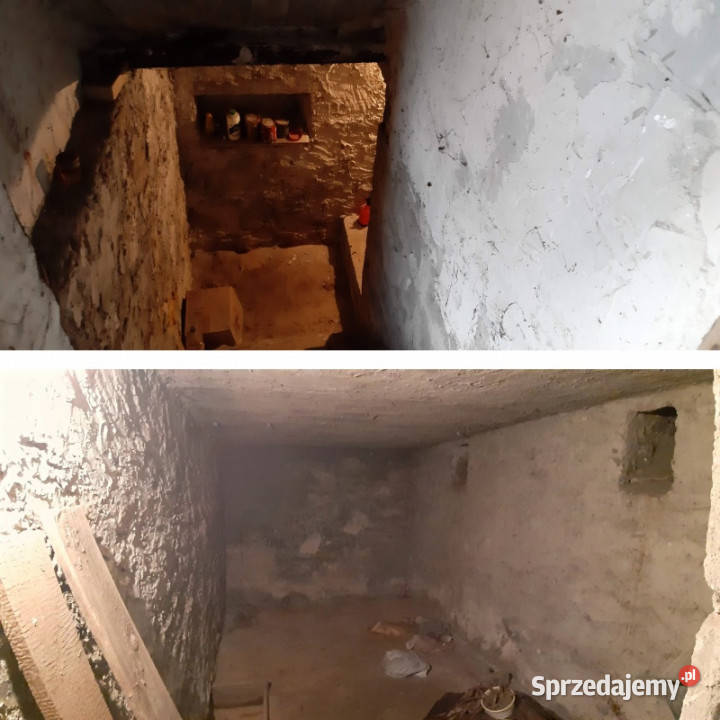 Do remontu przestronny z budynkami gosp Raków