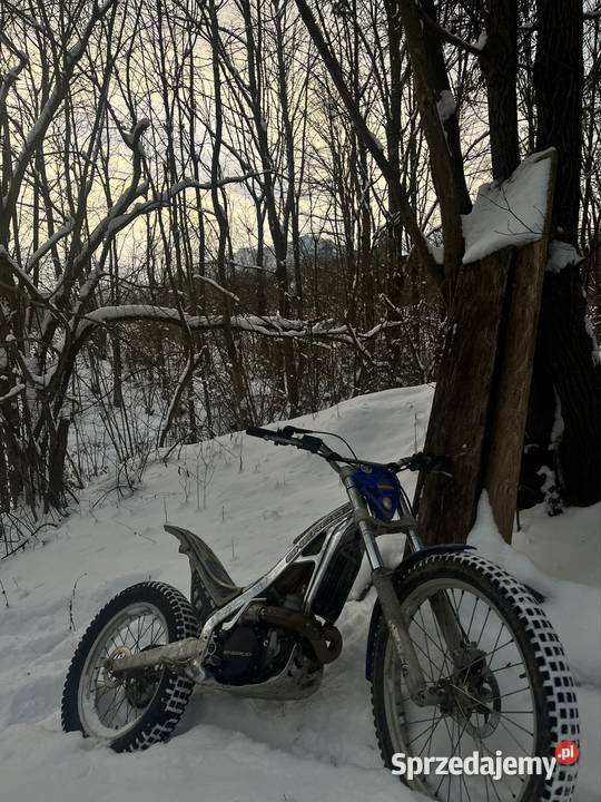 Scherco st 290 2004r Glisne sprzedam