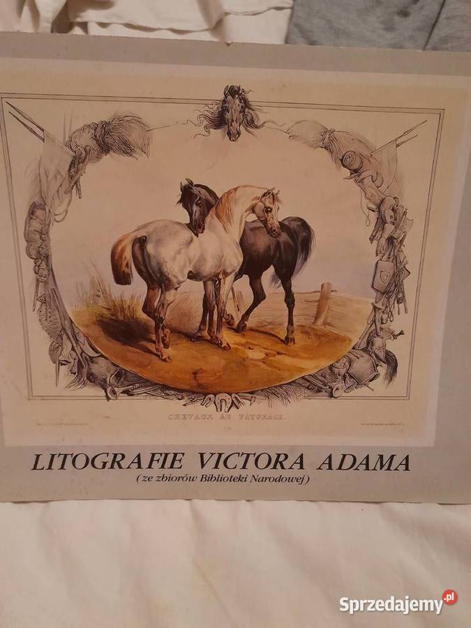 SPRZEDAM Litografie Victora Adama Szlachetność i mazowieckie Warszawa