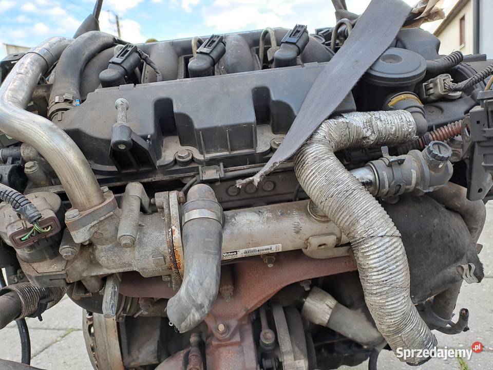 Ford Fokus C Kuga 20 TDCi silnik kompletny G6DA Rok produkcji 2005