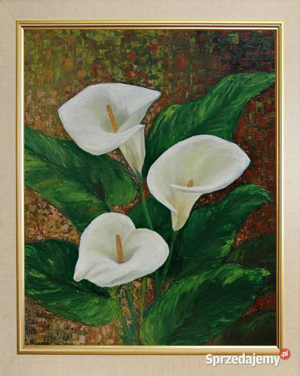 Obraz olejny Kalie Lublin sprzedam