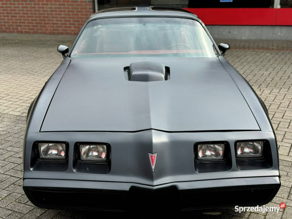Pontiac Trans Am Pontiac Trans Am Black Mat Sulechów sprzedam