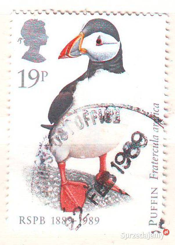 Zn Anglia Mi 1185 98 1202 6 kas 1988 Gliwice