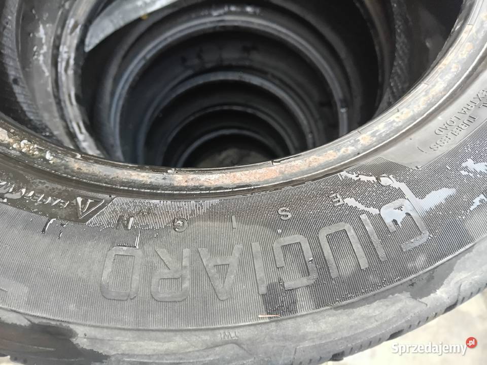 2x 2155516 vredestein giugiaro wintrac Xtreme s całoroczne Samochodowe