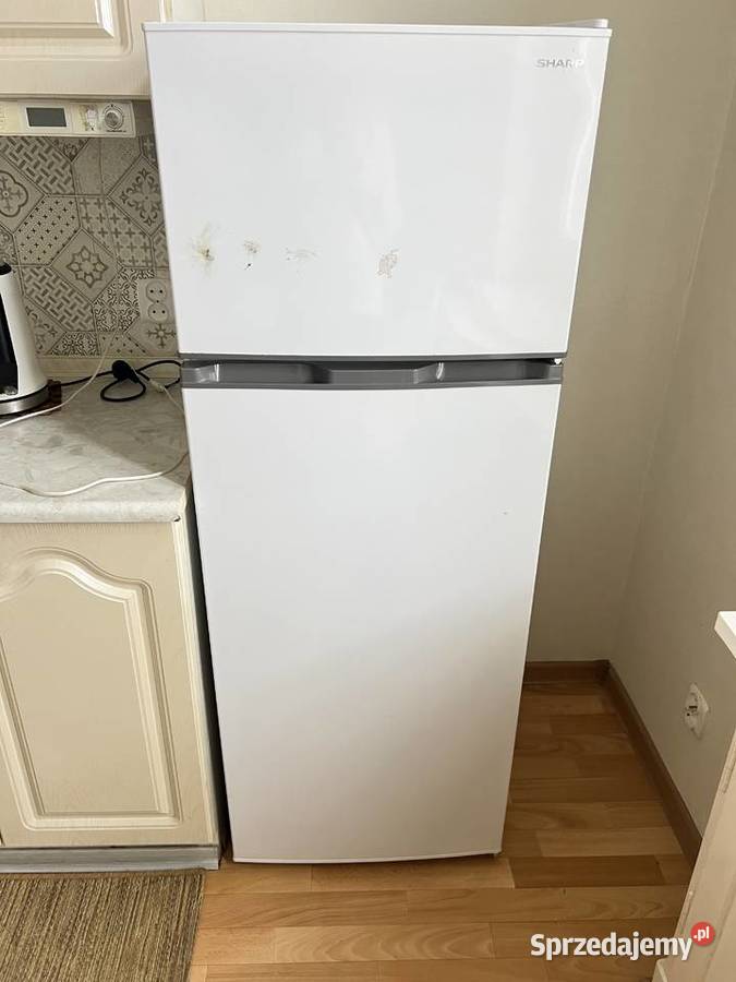 Lodówka Sharp 144 Lodówki i zamrażarki
