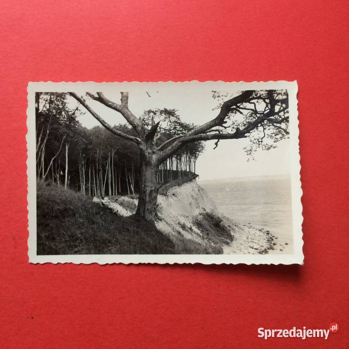 1995 Zaklady Foto Stettin Szczecin