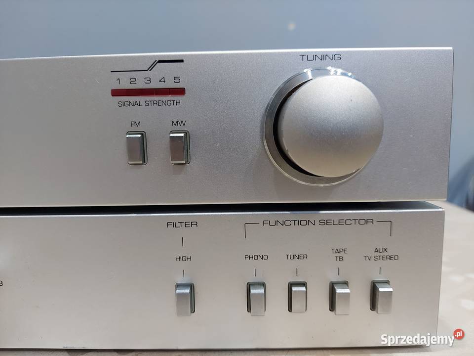 TELEFUNKEN Amplifier RA100 and TELEFUNKEN RT100