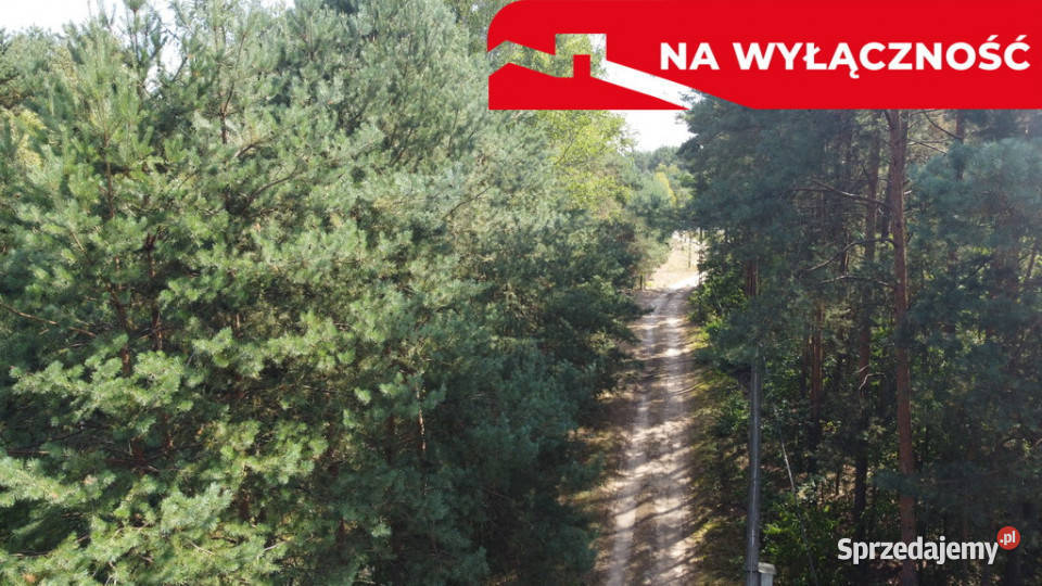 Działka letniskowa 800 m2 w Woli Chodkowskiej Wola Chodkowska