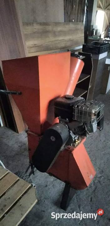 Rebak bijakowy Łęczna