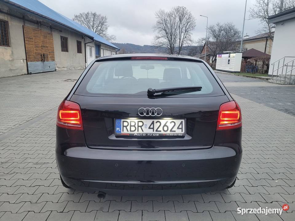 AUDI A3 8P 16 TDI 2010 CD Haczów