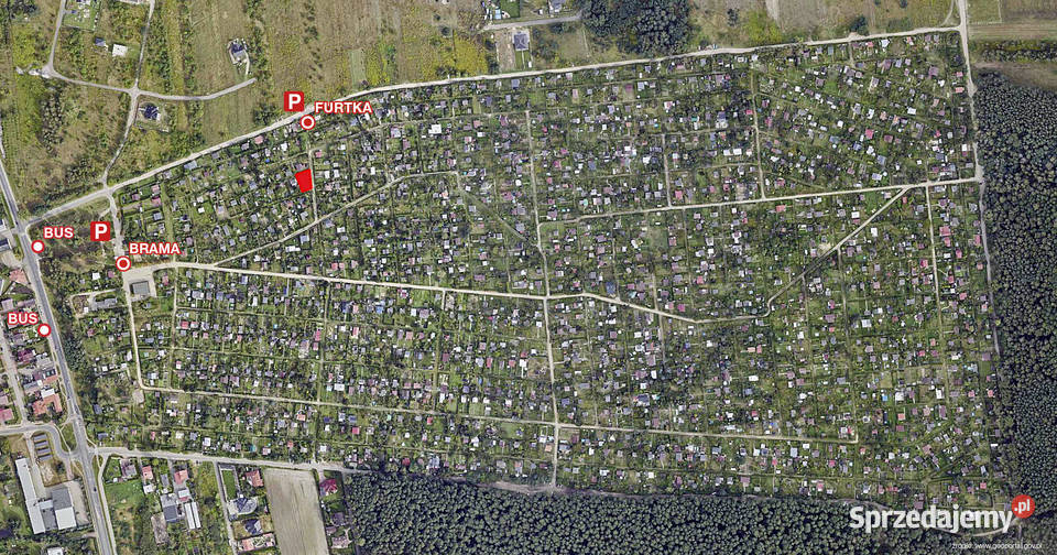 Sprzedam działkę ROD Świętojańska Konin Sprzedaż wielkopolskie