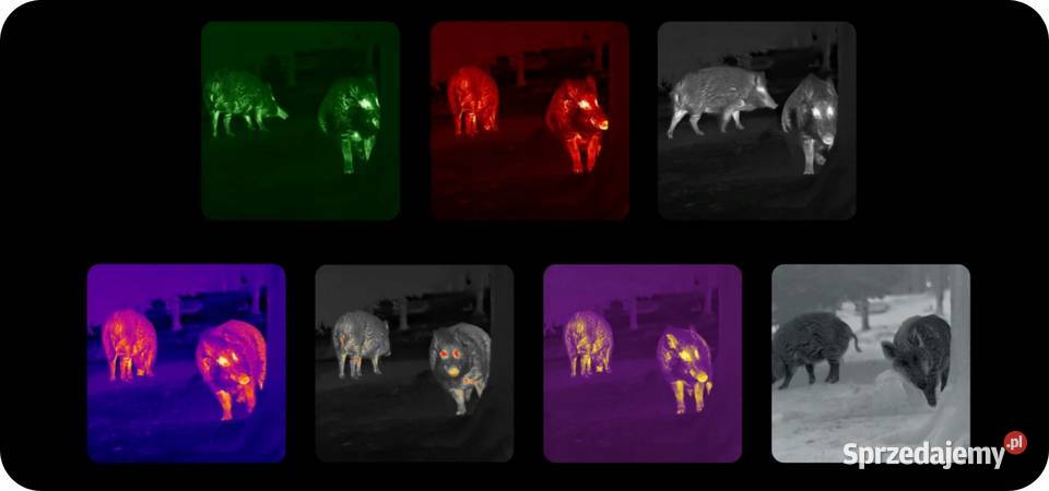 Kamera Termowizyjna Termowizor Monokular Poznań