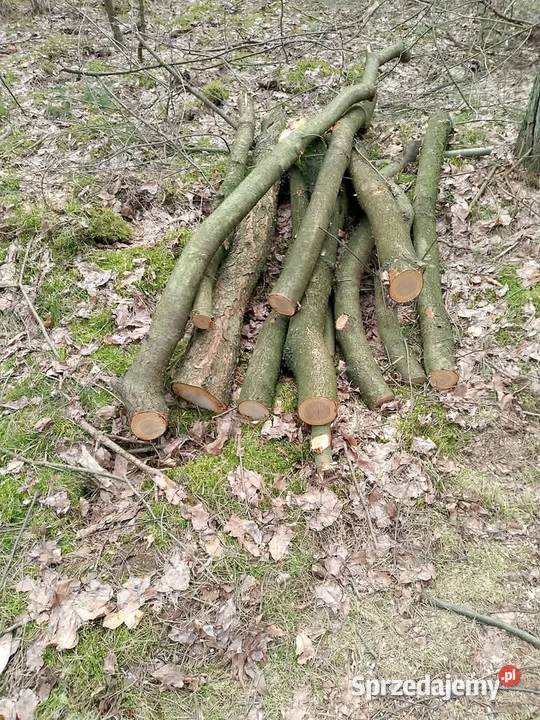 Sprzedam kujawsko-pomorskie Gniewkowo