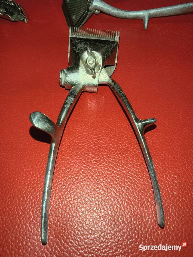 Golarki wojsk Wehrmachtu Suwałki