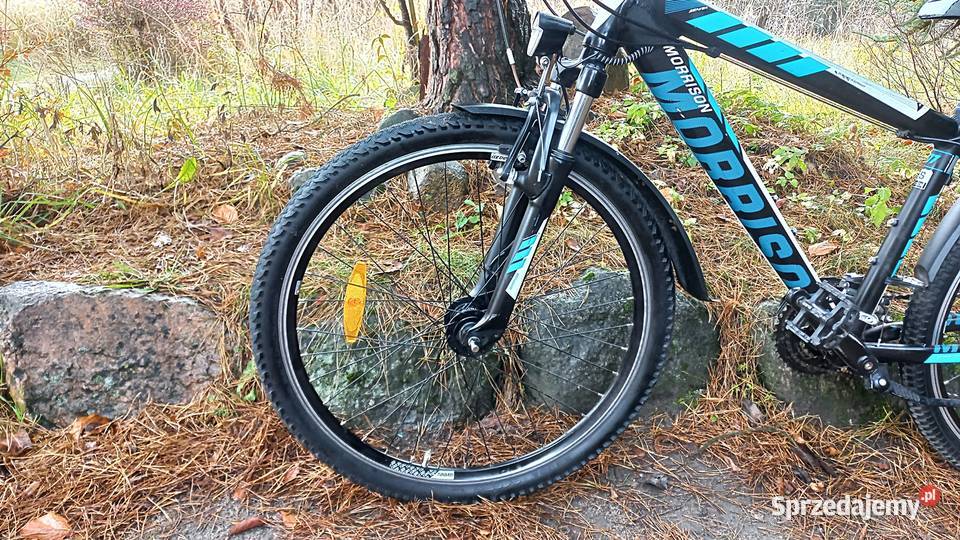 Alu Rower Górski Atb Młodzieżowy Morrison Beaver Wołów