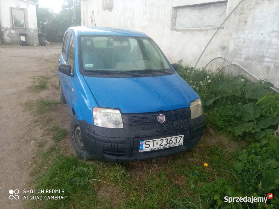 Panda 11 plus gaz warmińsko-mazurskie Kętrzyn