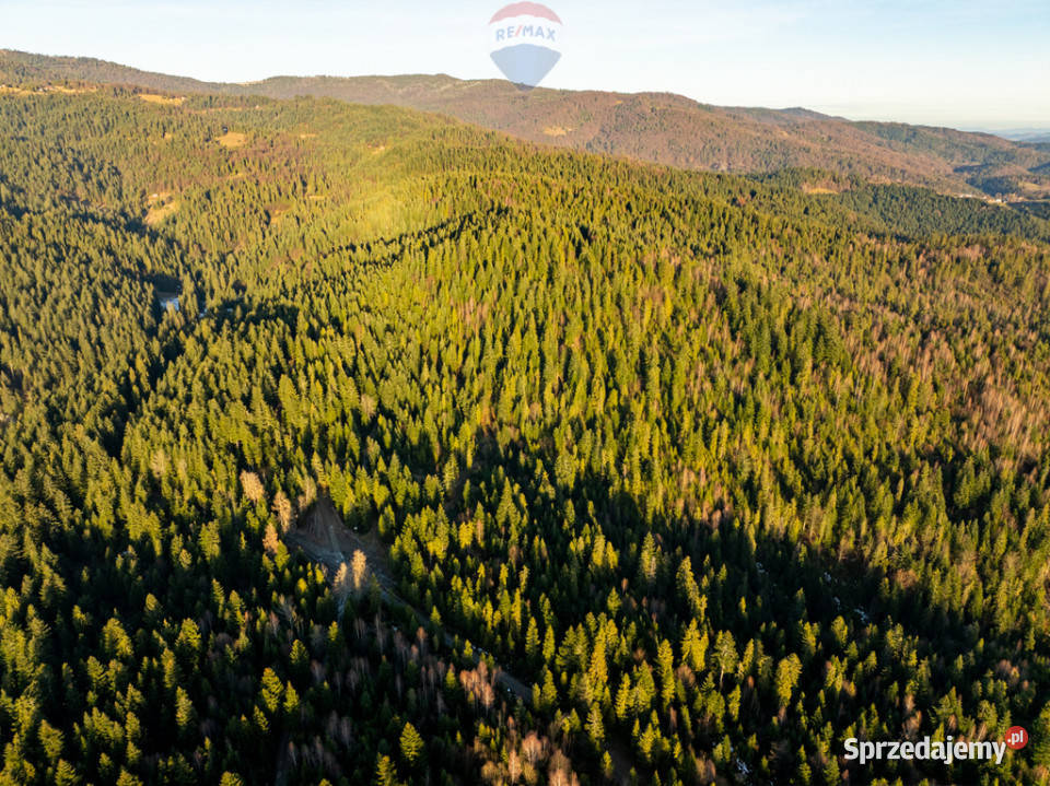 Grunt Ostrowsko 67m małopolskie sprzedam