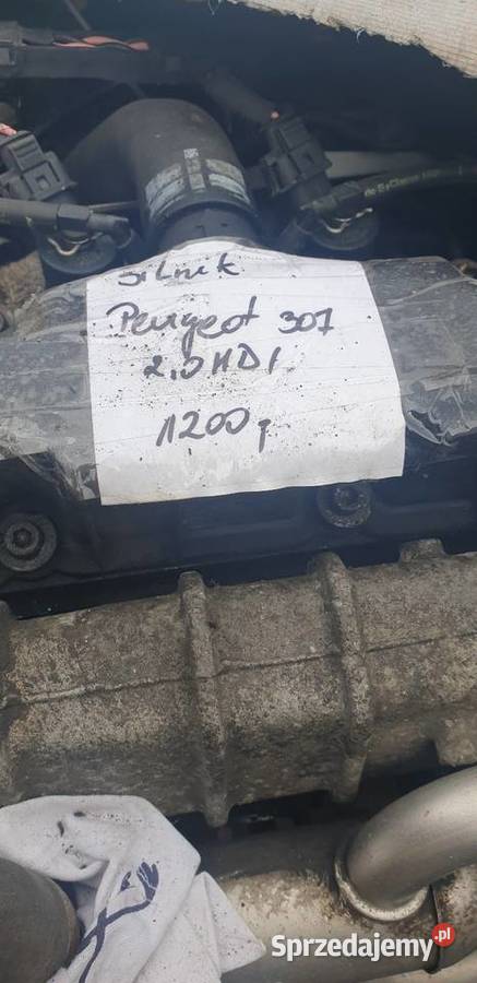 Silnik peugeot 307 20 osobowe Silniki kompletne Dobre Miasto