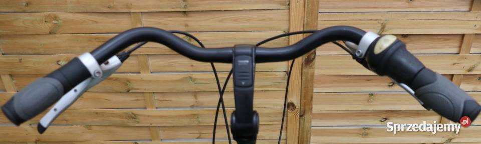 Rower damski Gazelle Orange C7 D 49 I inne Miejskie