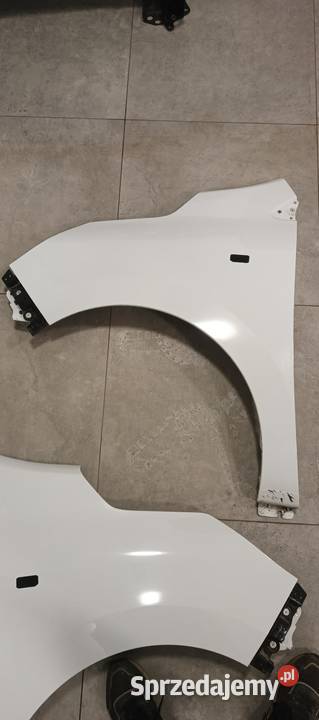 Błotnik Renault express lewa osobowe Brześć Kujawski